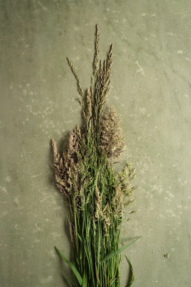 Natural moss green printed background for styling & photography
