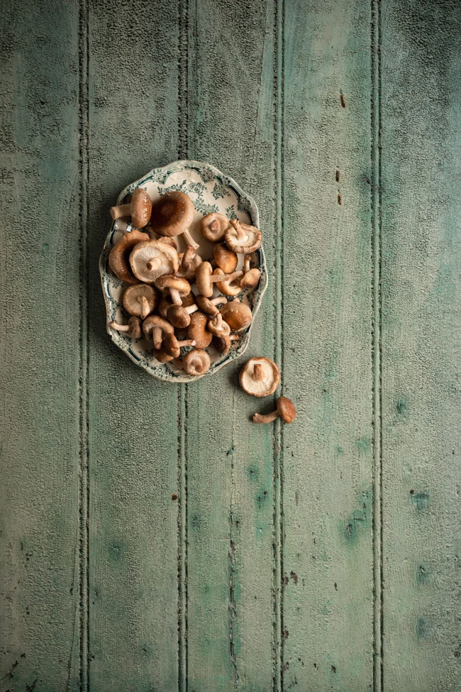 Pistachio green wooden backdrop perfect for autumn photography
